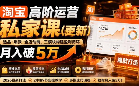 淘宝高阶运营私家课(更新26年